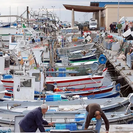 1157 Palcos - Apivend Immo Appartement Roses