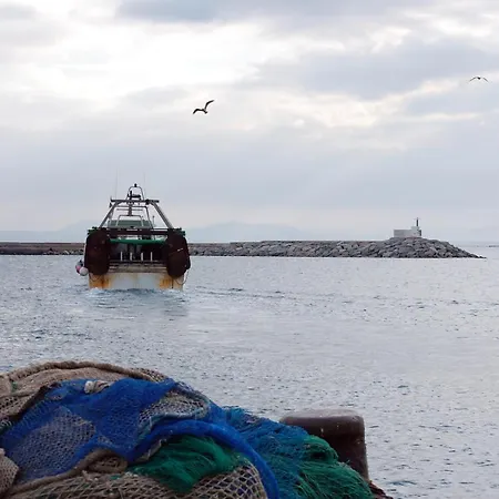 1157 Palcos - Apivend Immo