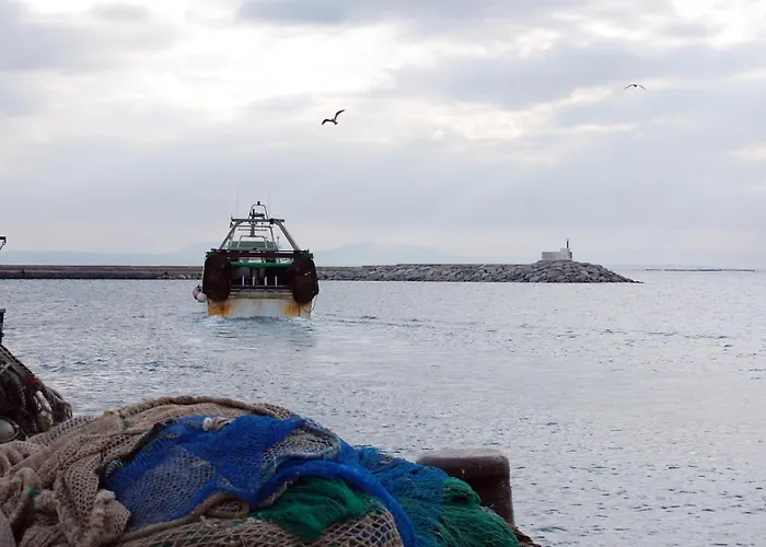 1157 Palcos - Apivend Immo