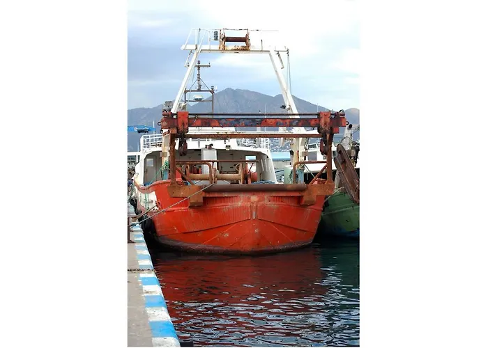 1157 Palcos - Apivend Immo *